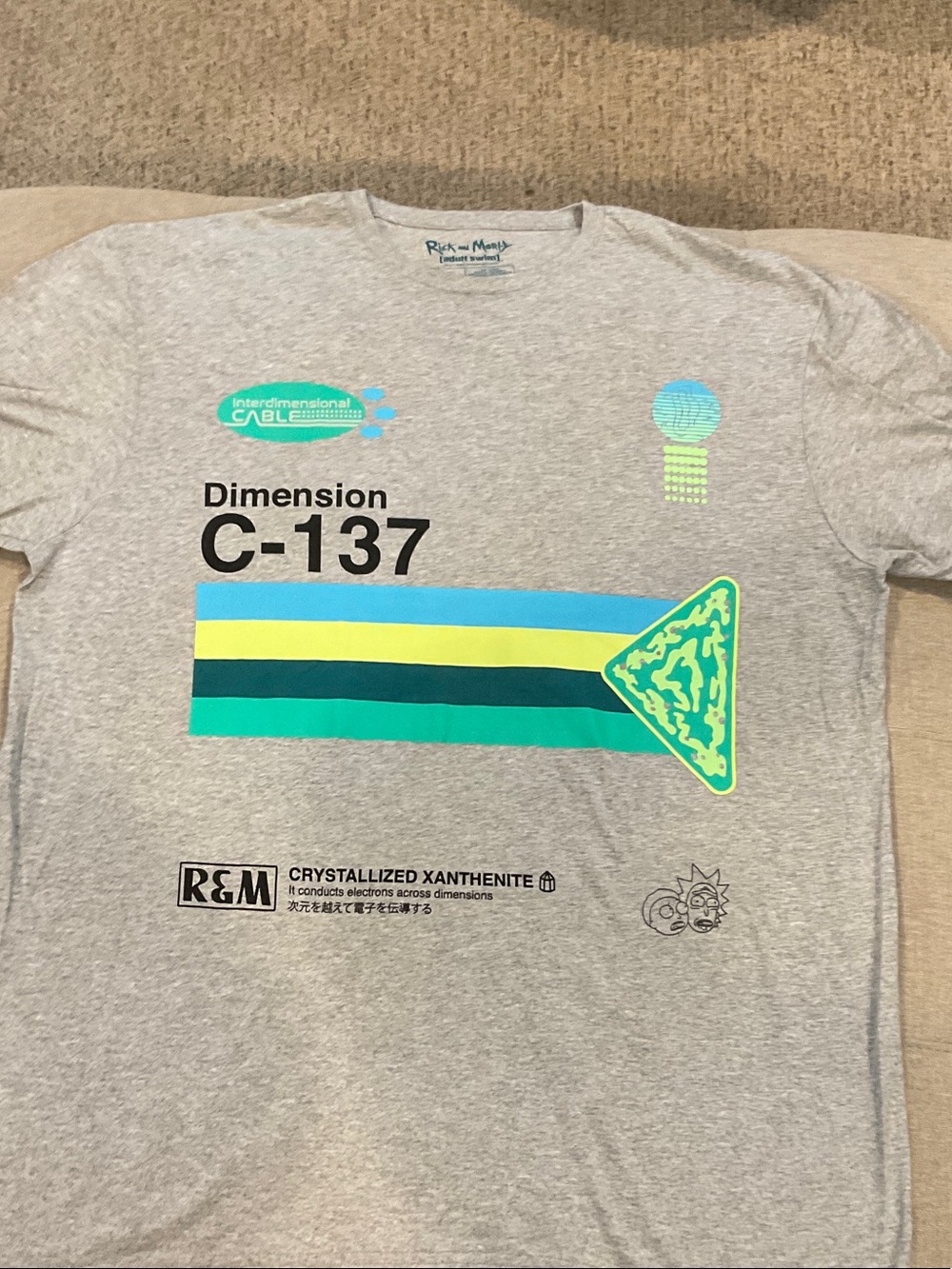 Rick and Morty Men's Light Gray C-137 Graphic Tee